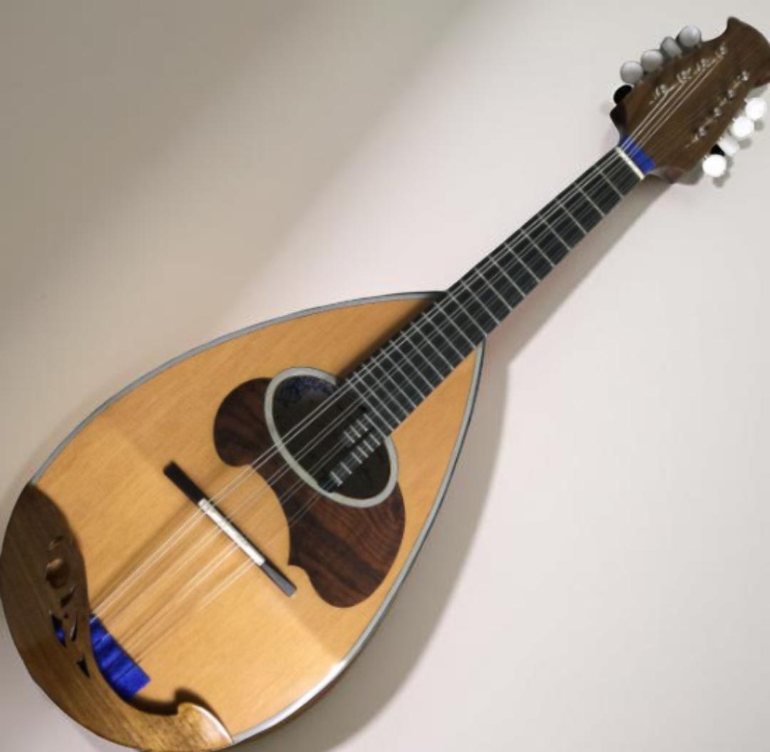 弦楽器 CALACE CLASSICO B