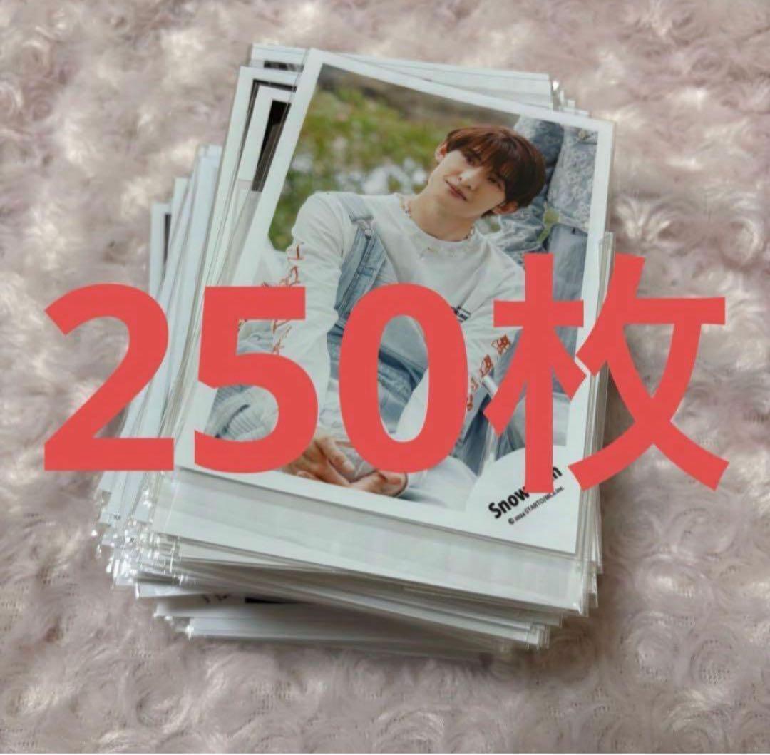 Man 向井康二 公式写真 真四角フォト まとめ売り 250枚セット