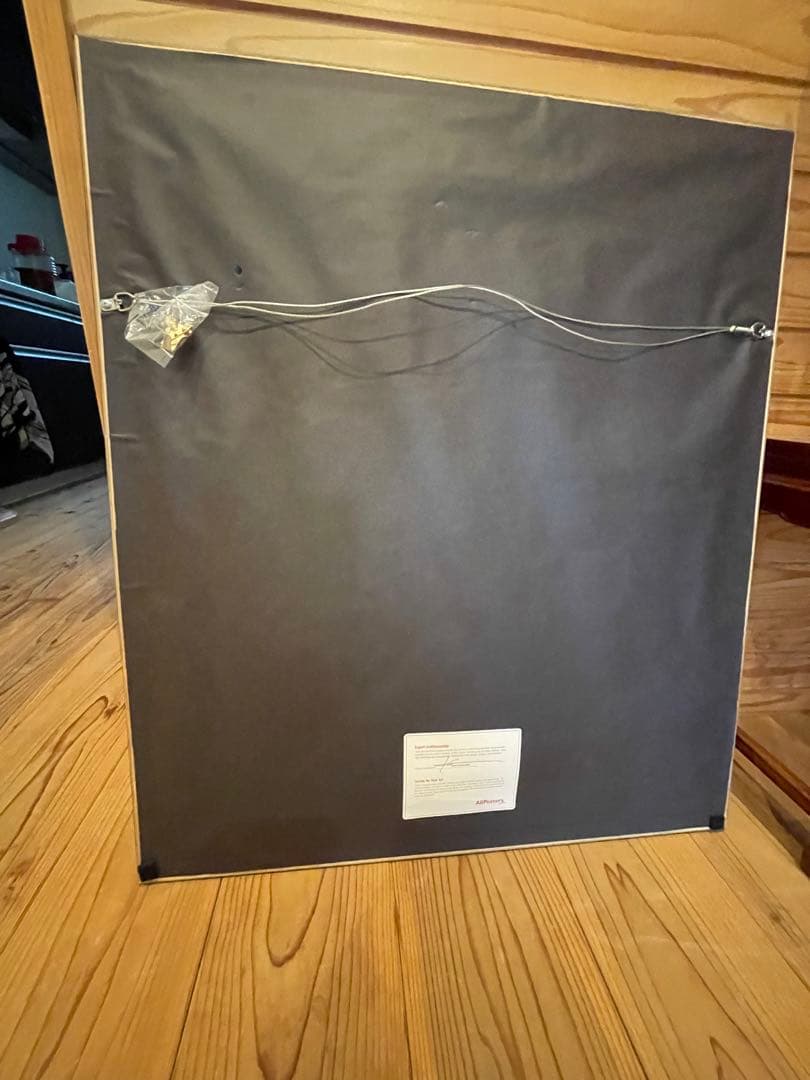 Frank Stella (フランク・ステラ) アートプリント　アートポスター