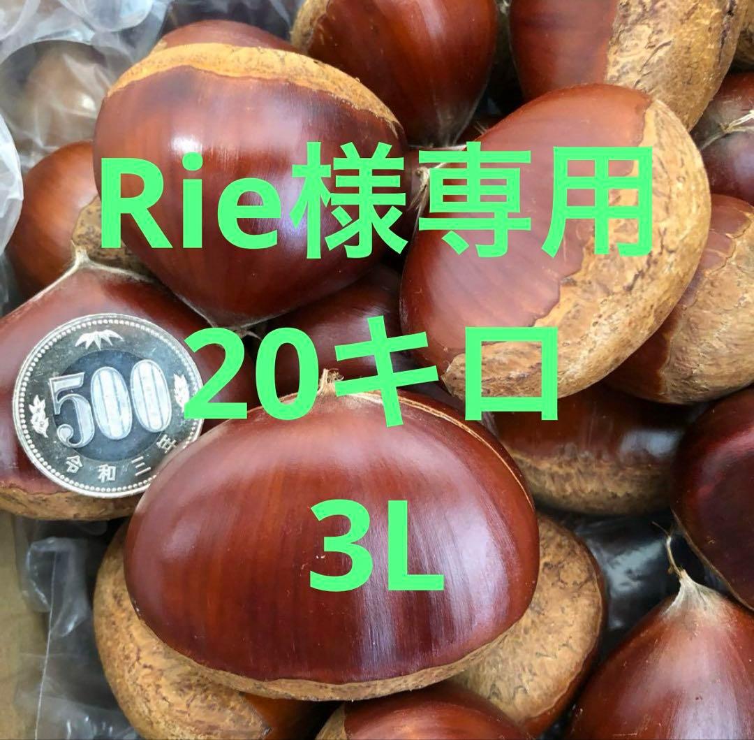 Rie 3 L 20kg 栗