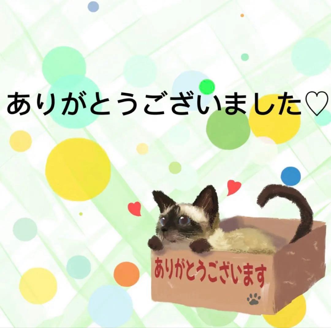 【8361】海外　マステ　5m巻売り　PETマスキングテープ　猫