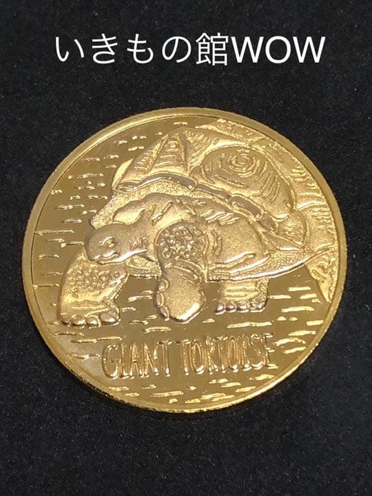 ☆茨城★いきもの館ＷＯＷ☆リクガメ★記念メダル☆茶平工業