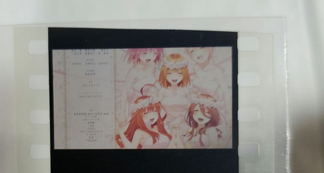 五等分の花嫁　映画特典　フィルム