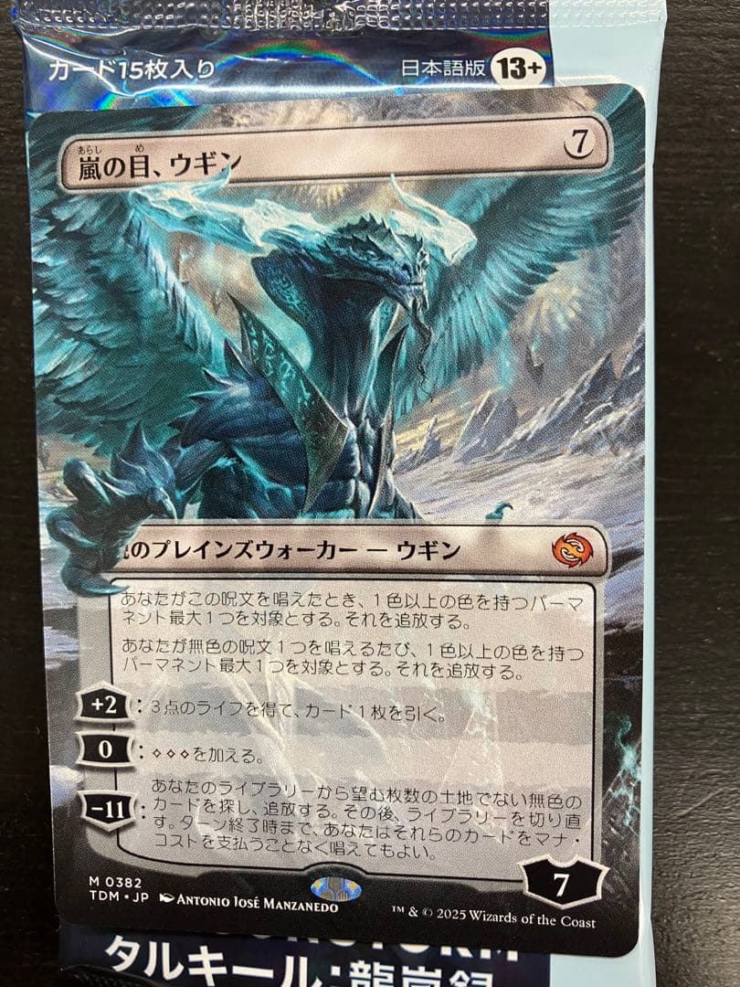 嵐の目、ウギン　日本語　ボーダーレス　1枚