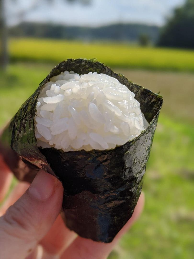 佐賀有明産　初摘み海苔　一番摘み　厳選 　焼き海苔 200枚　やや厚　送料無料