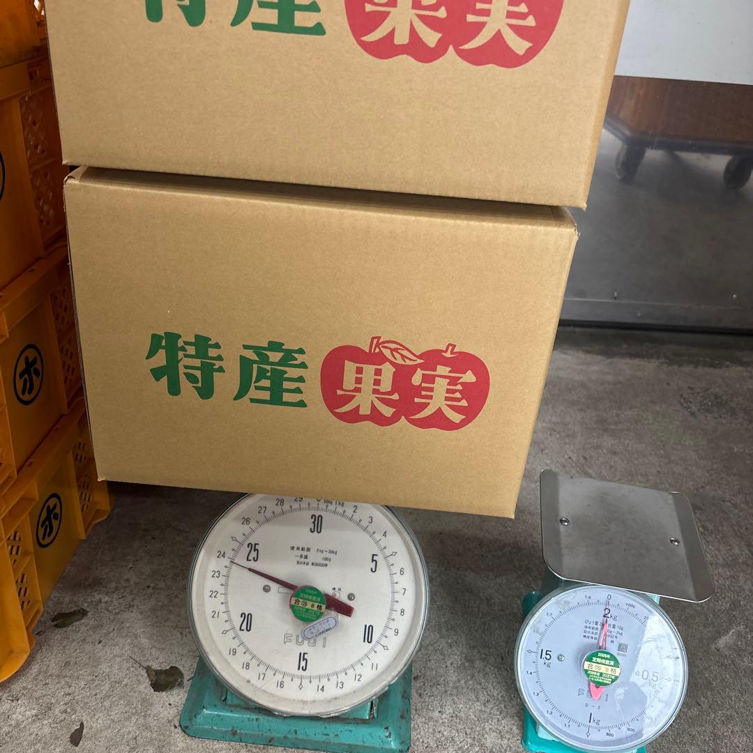 ファン　ファン　　4L20kg