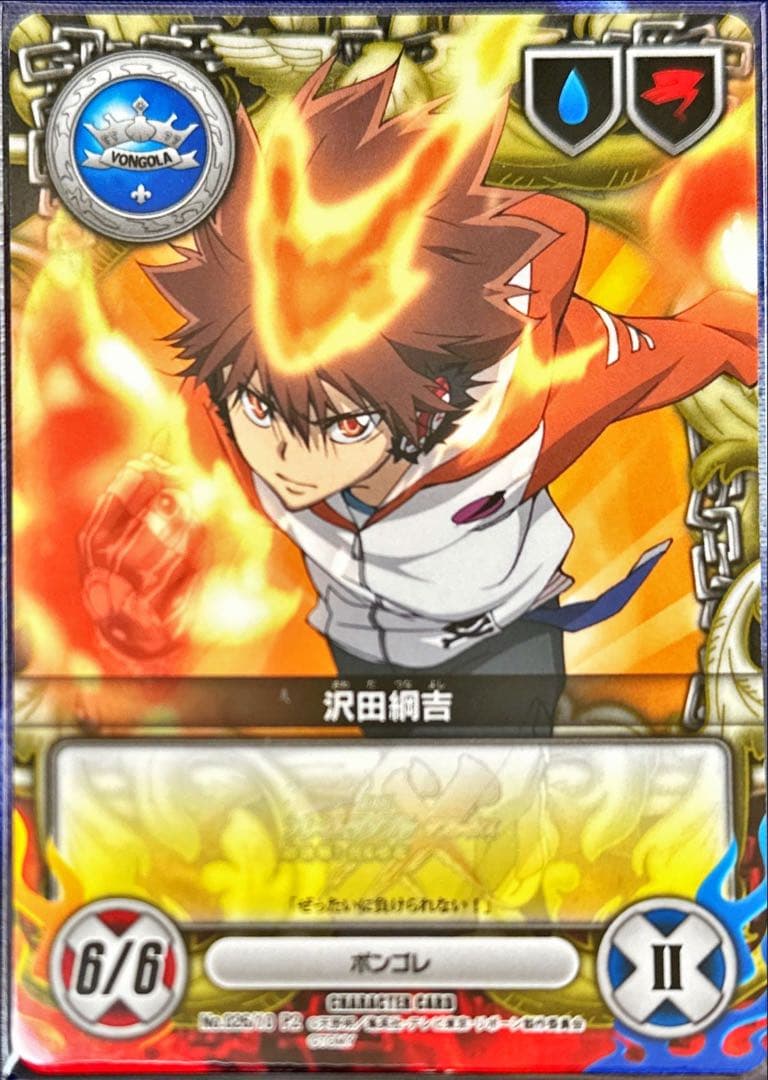 沢田綱吉 CCG PRカード フレイムランブルxx ツナ