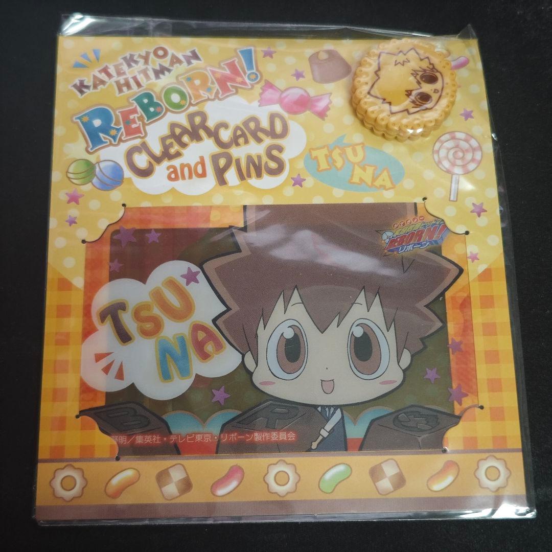 家庭教師ヒットマンREBORN クリアカードつきピンズ 沢田綱吉