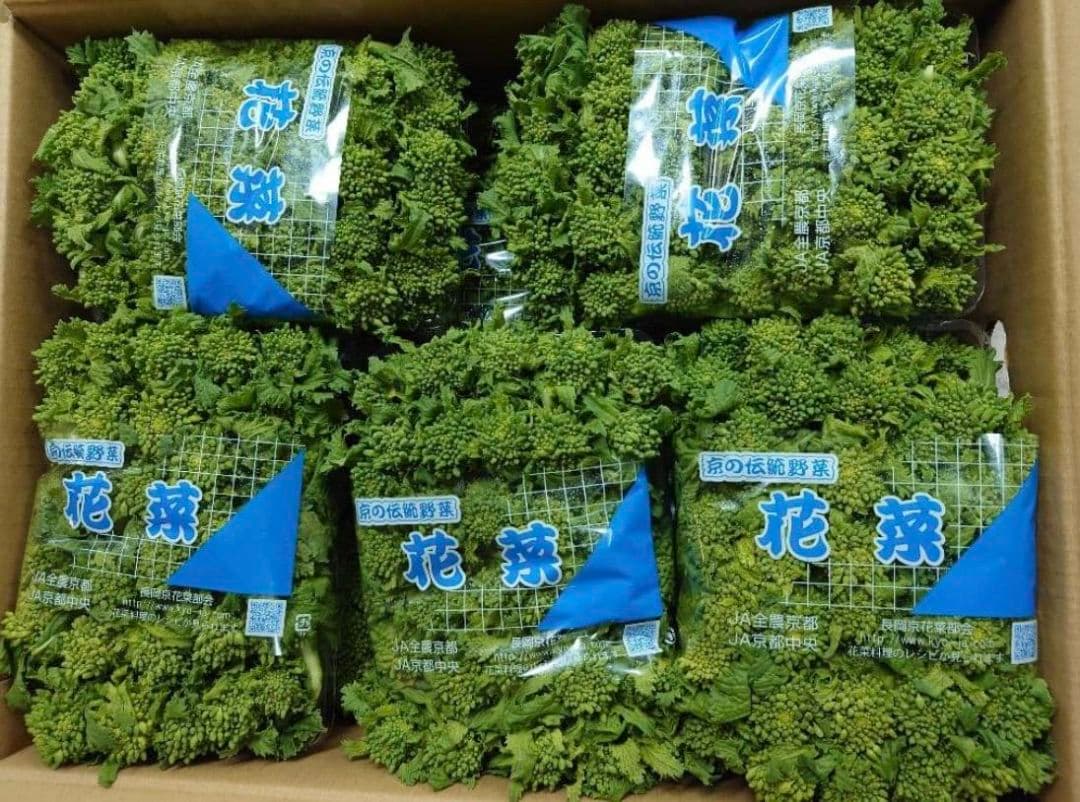 京野菜　花菜　300g✕10パック