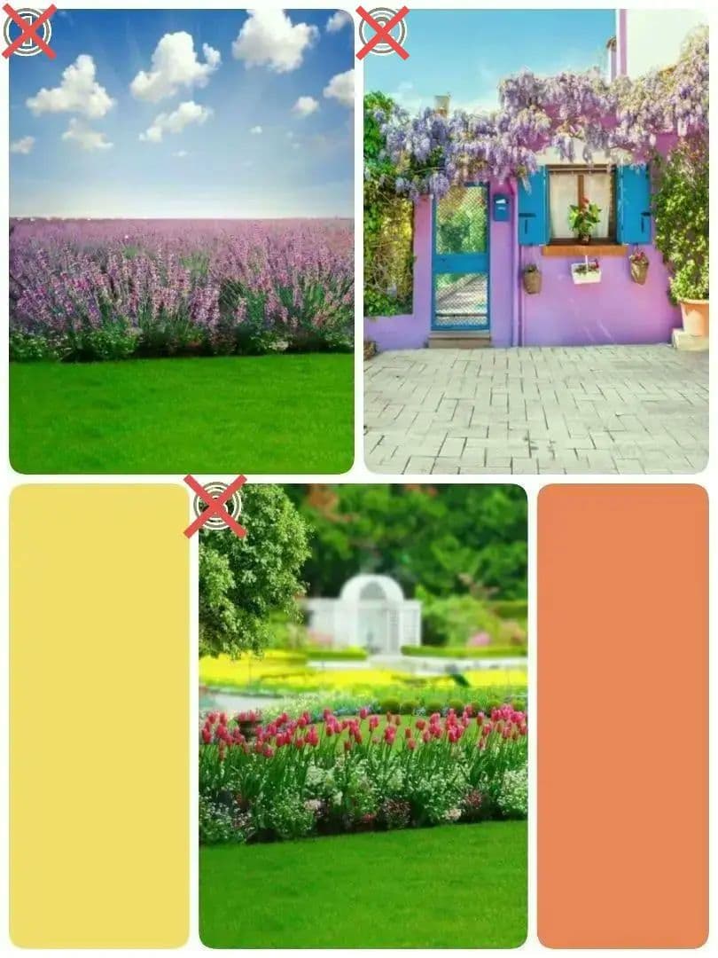 背景布【　フラワーMIX F　】サンプル　ペット、ドール撮影用　ラベンダー藤の花