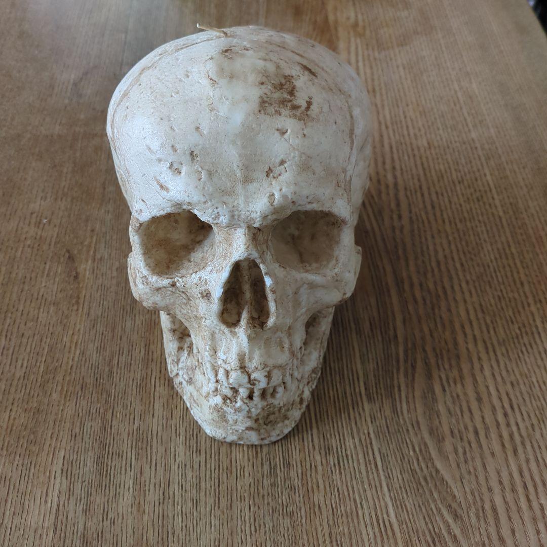 ドクロウ　キャンドルジュン