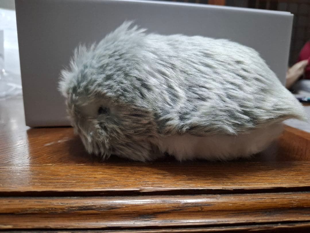 モフリン グレー