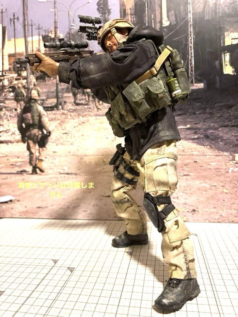 WARFARE風ミリタリーフィギュア damtoys 12インチ カスタム