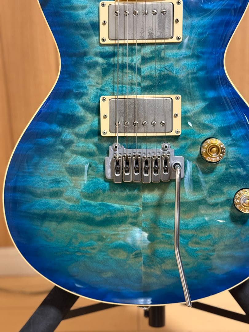 T’s Guitars Arc-STD VS100N マホガニー エボニー指板