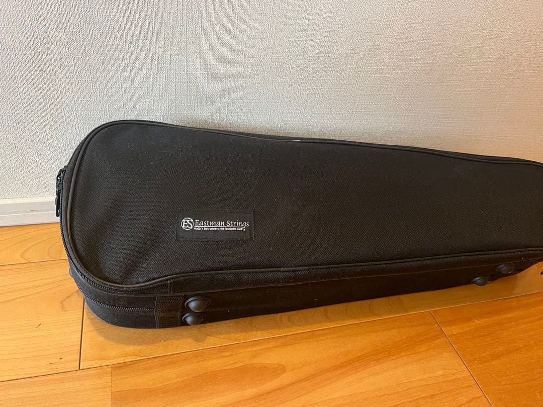 お値下げ⭐︎Eastman VL80 バイオリンセット　1/8