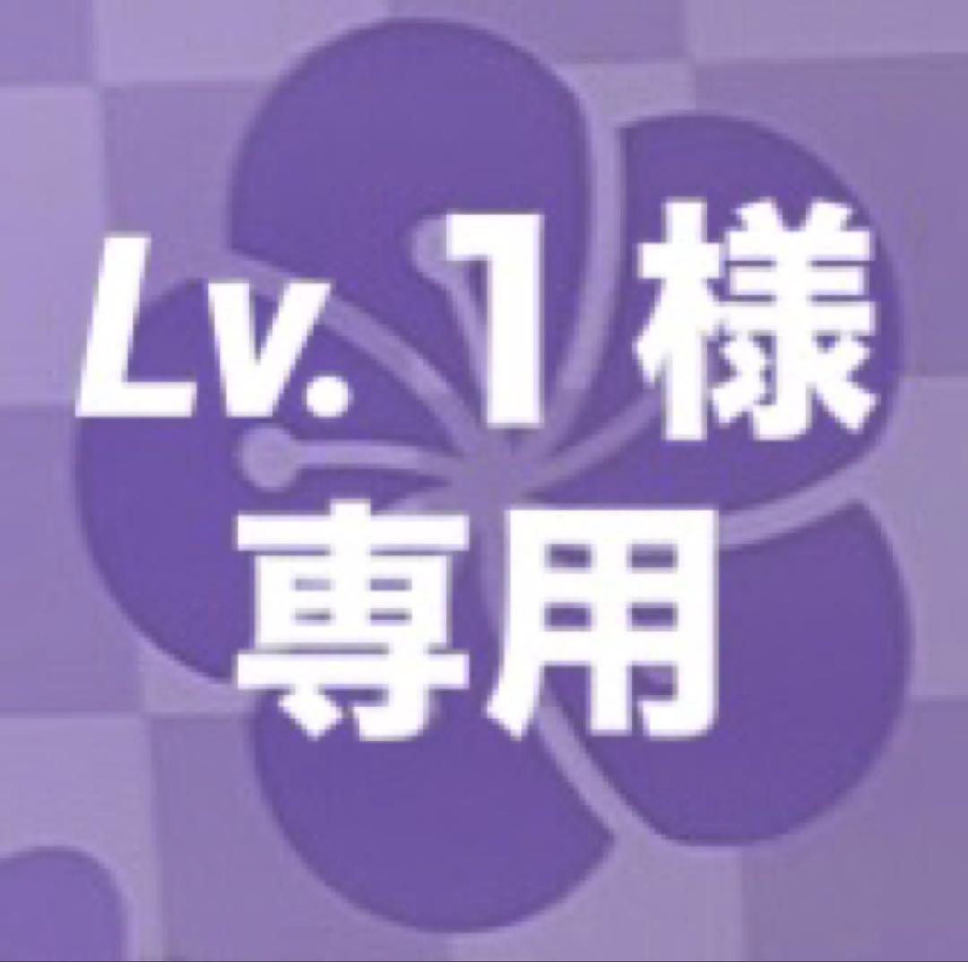 Lv.１様確認用