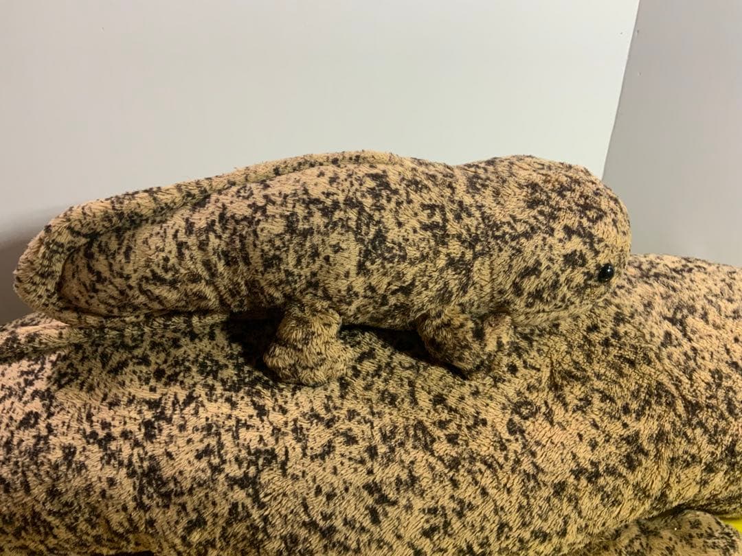 オオサンショウウオ　BIG 大約８５センチ　小約30センチ　小約20センチ