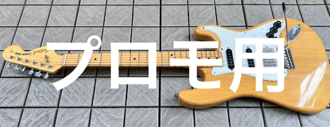 Aria pro Ⅱ ストラトキャスター ラージヘッド SSH Nカラー