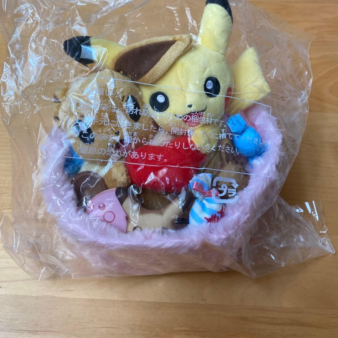 ポケモン　ぬいぐるみ　ピカチュウ&イーブイ　冬