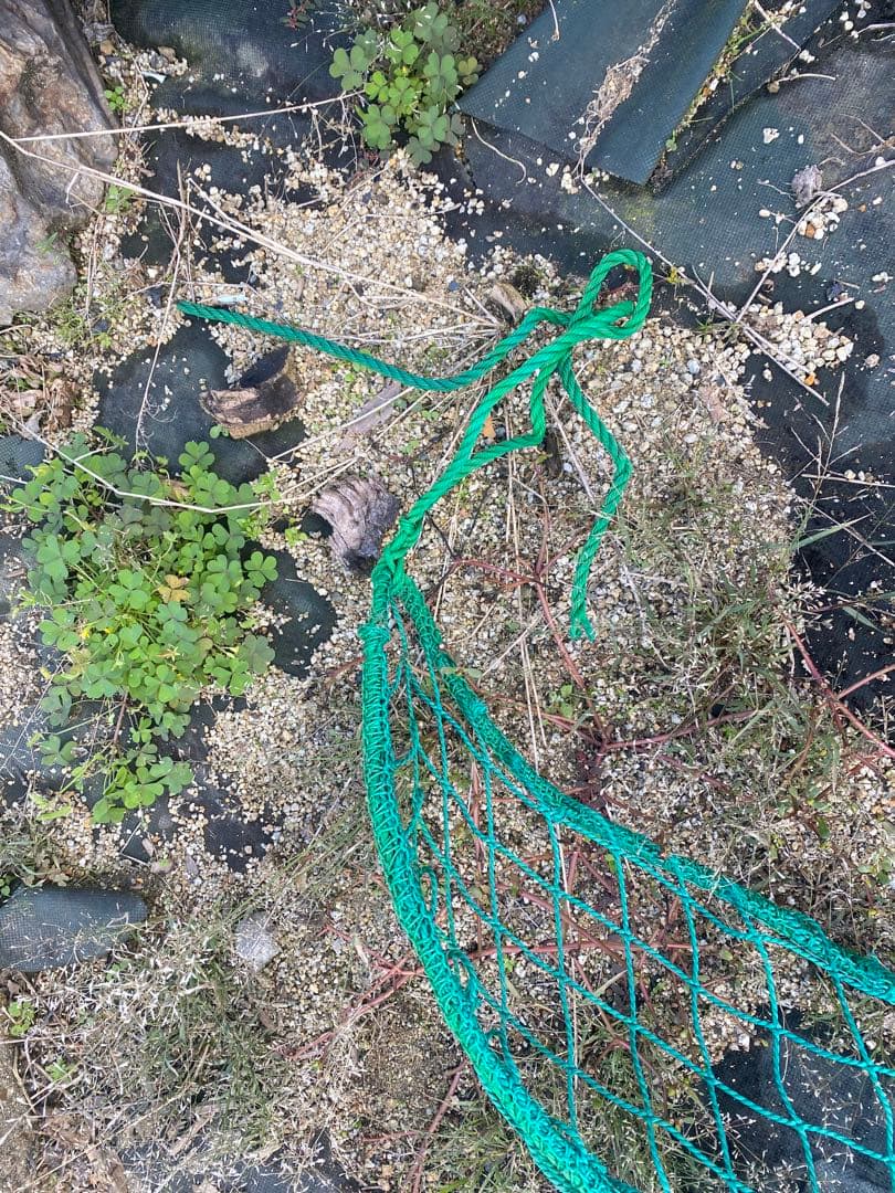 引き取り限定バッティング練習用ネットバッティングゲージネット9m✖️15m