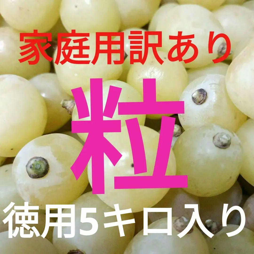 シヤインマスカット家庭用完熟多め入り5キロパック入り