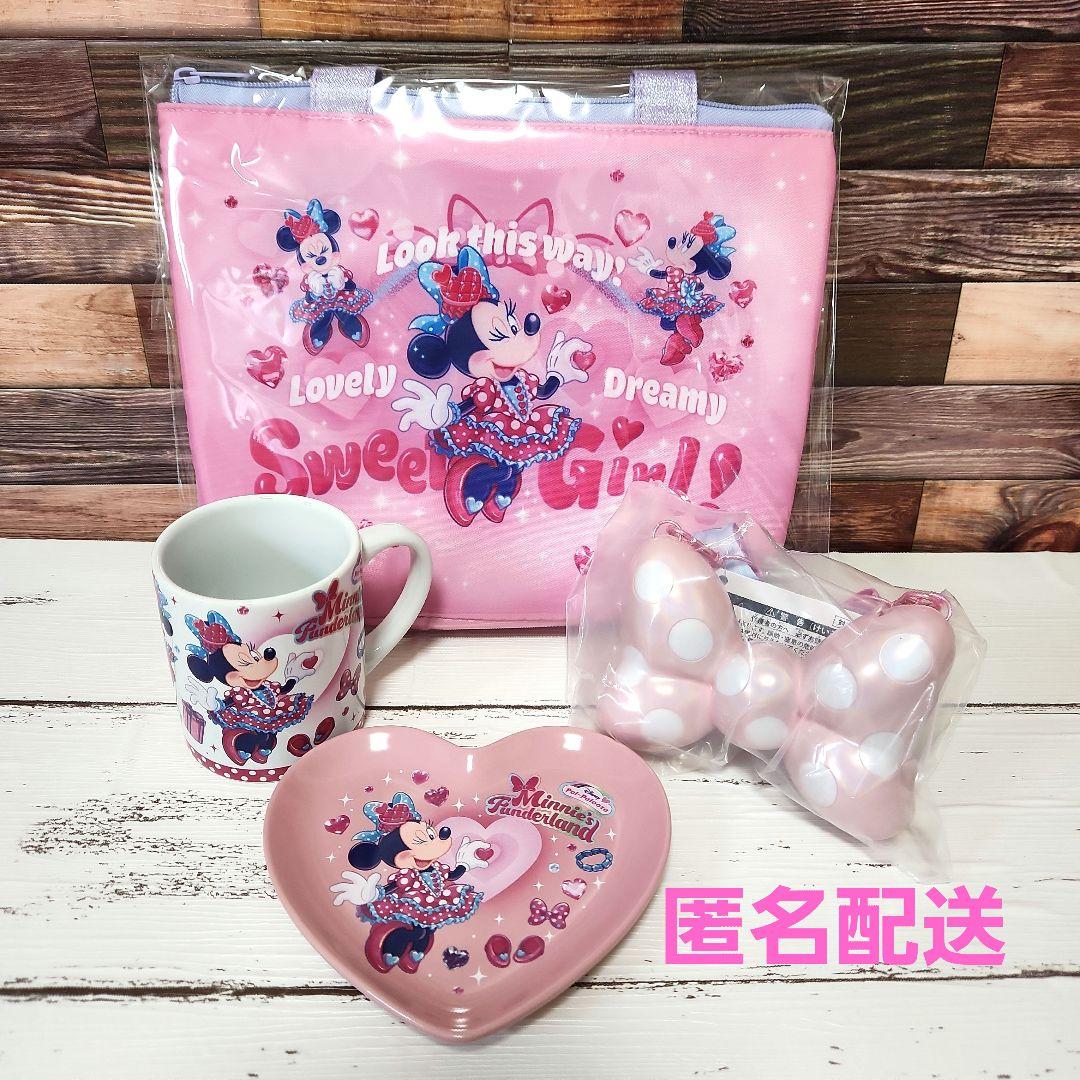 ディズニー パルパルーザ ミニー ファンダーランド スーベニア 4点セット