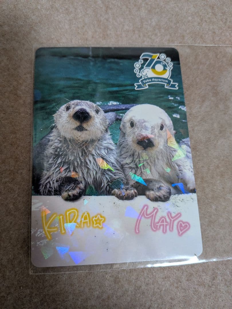 鳥羽水族館　70周年記念　コレクションカード　レアカード　メイ　キラ