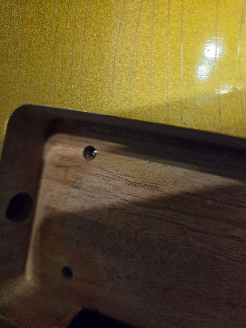 ギター BRUNO GUITARS TN-295