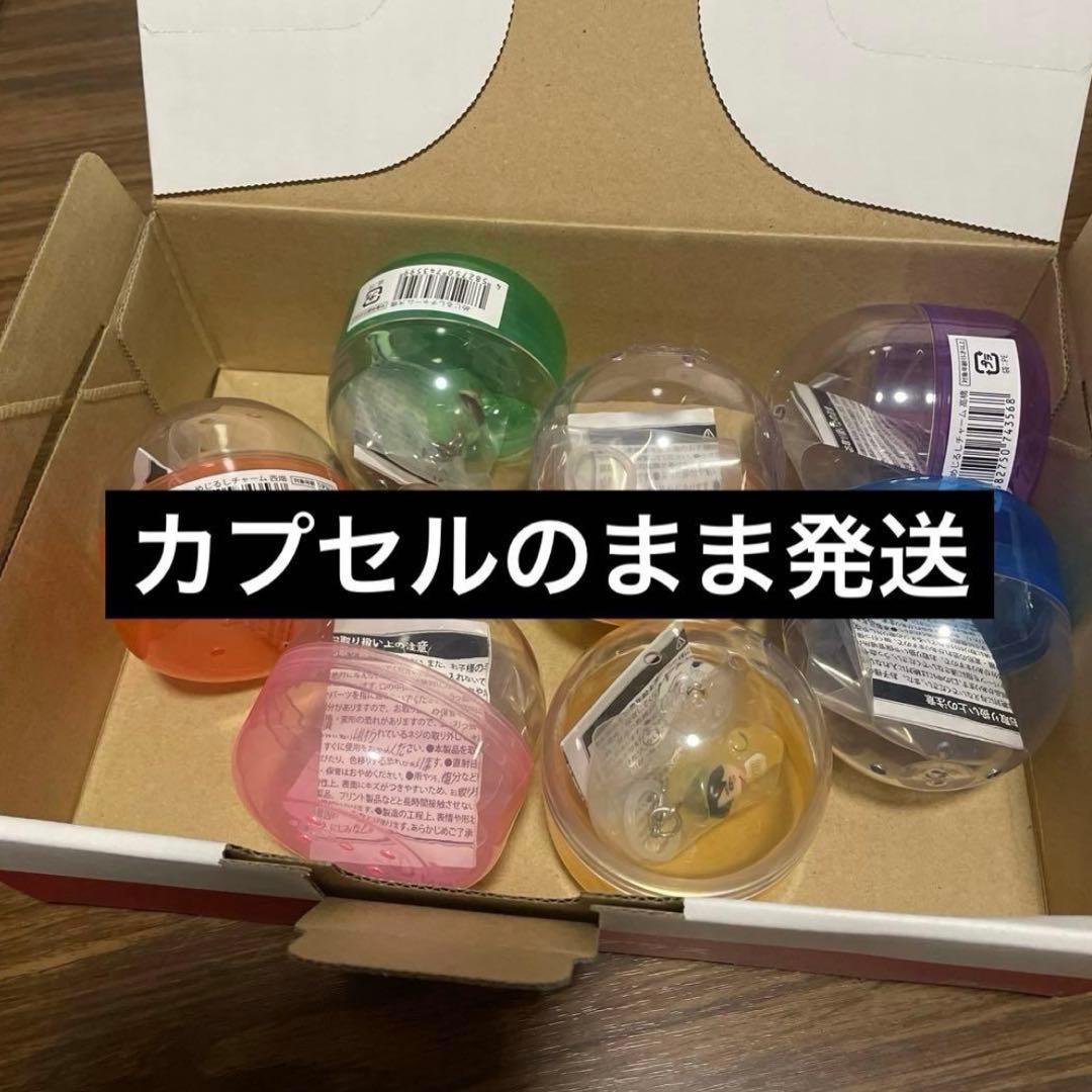 コンプ　なにわ男子のめじるしチャーム　2026 VoyAGE 1stDOME