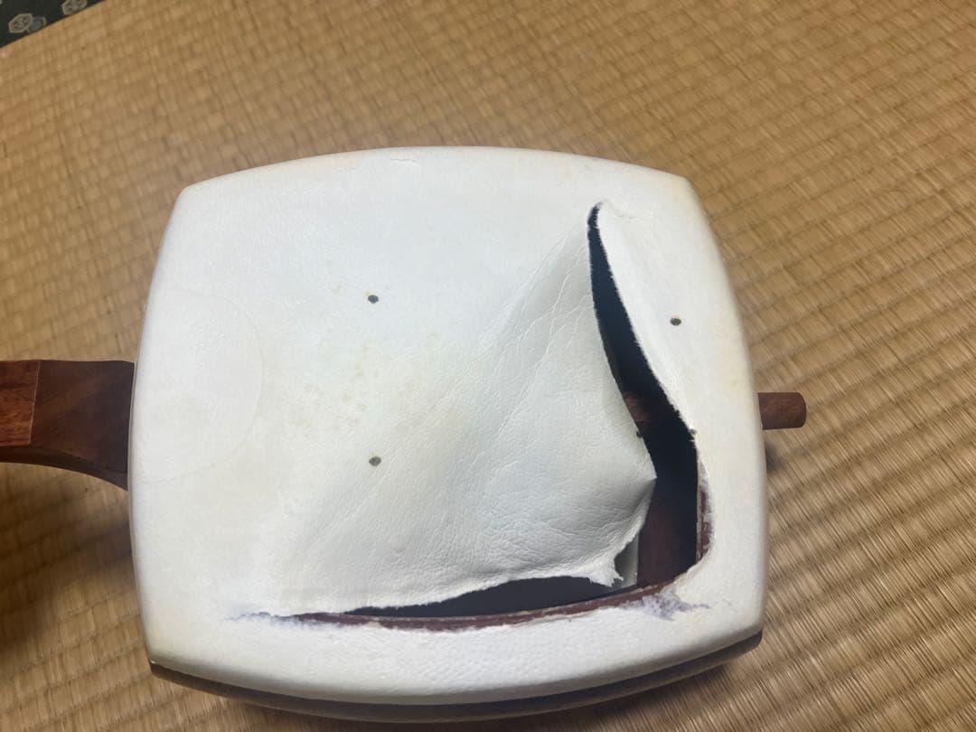 希少　白紅木　地歌用三弦　黒檀糸巻き　天然素材撥　ハードケース付き
