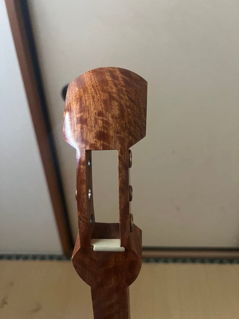 希少　白紅木　地歌用三弦　黒檀糸巻き　天然素材撥　ハードケース付き