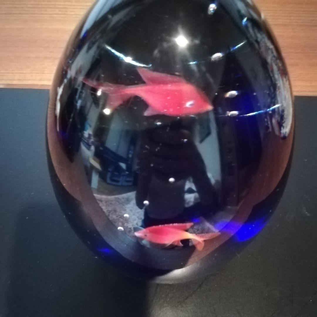 ベネチアングラス　ベネチア　置物　魚　卵形　作家物　一点物　アクアリウム　工芸品