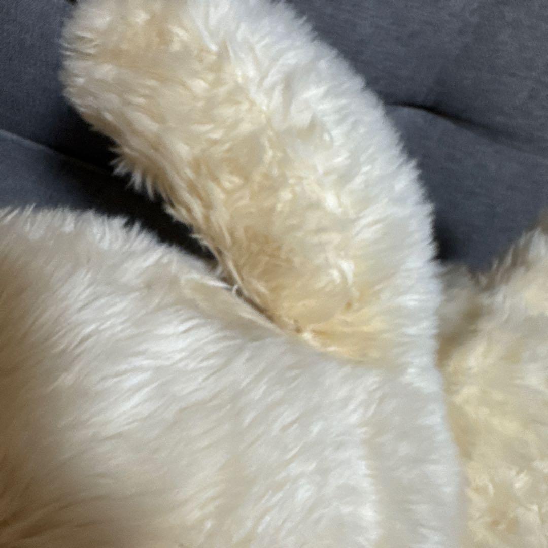 HIROKUN HOUSE かなり大きなテディベア/くまぬいぐるみ