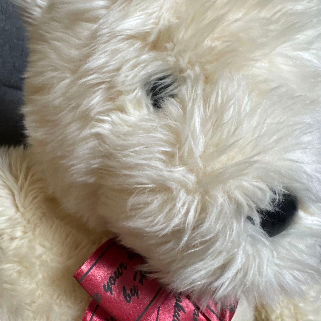 HIROKUN HOUSE かなり大きなテディベア/くまぬいぐるみ