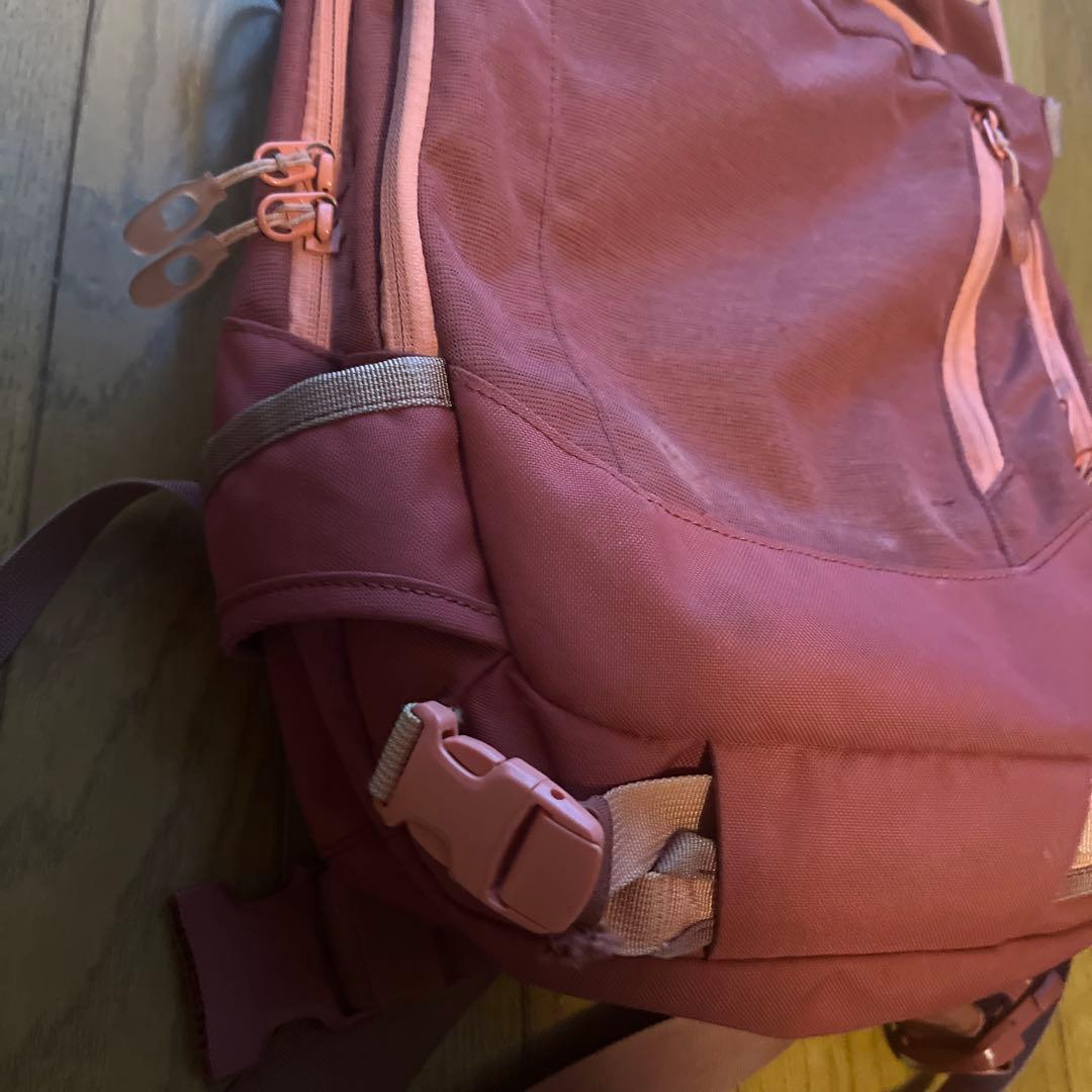 DAKINE HELI PRO 20 バックパック ピンク