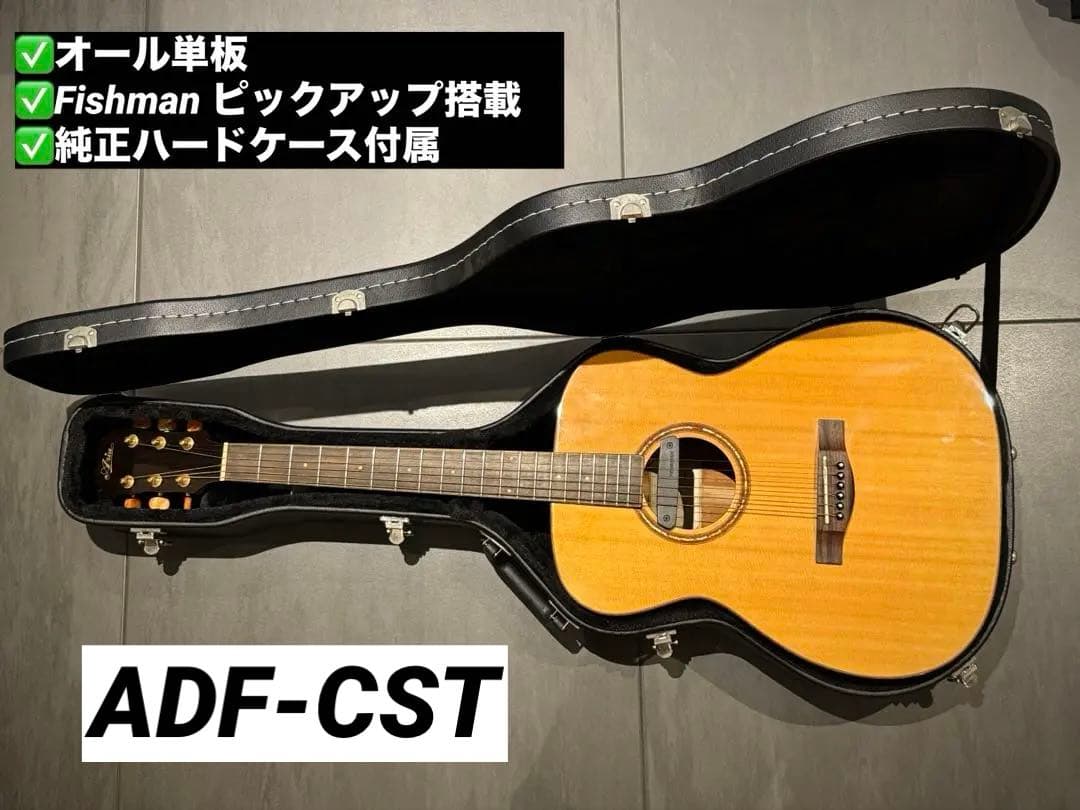 【セール中】Aria オール単板 Fishmanピックアップ付き ADF-CST