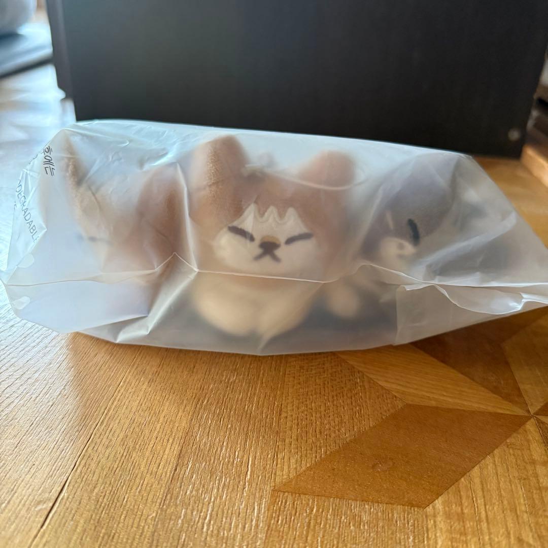 新品未開封 straykids スキズ リノ ポップアップ メンプロ キーリング