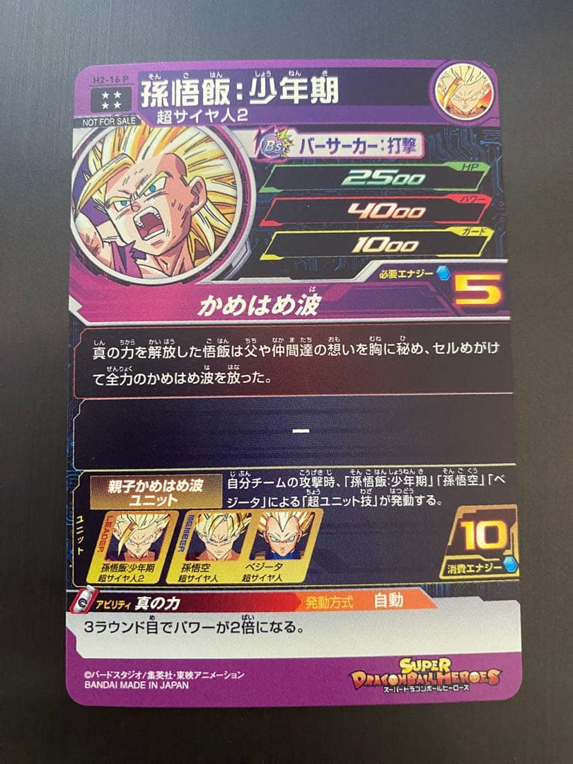 H2-16 P 孫悟飯:少年期