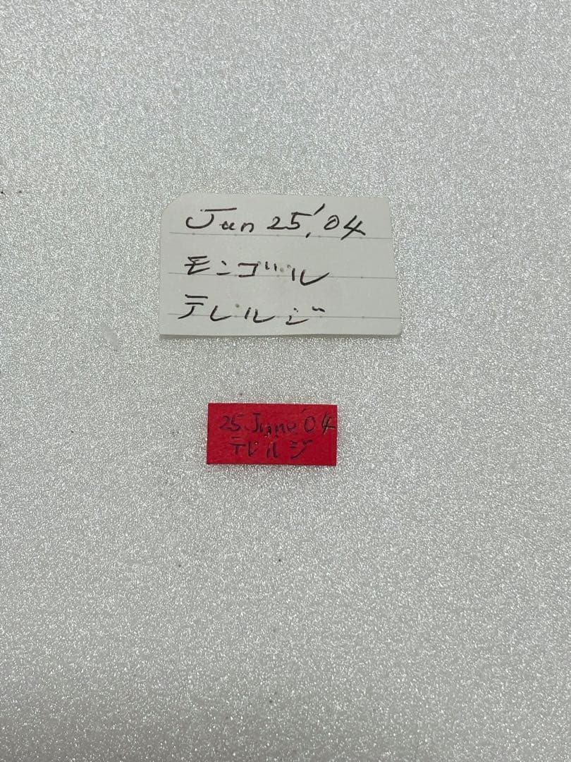 【1ペア】パルナシウス・アポロ（モンゴル産）