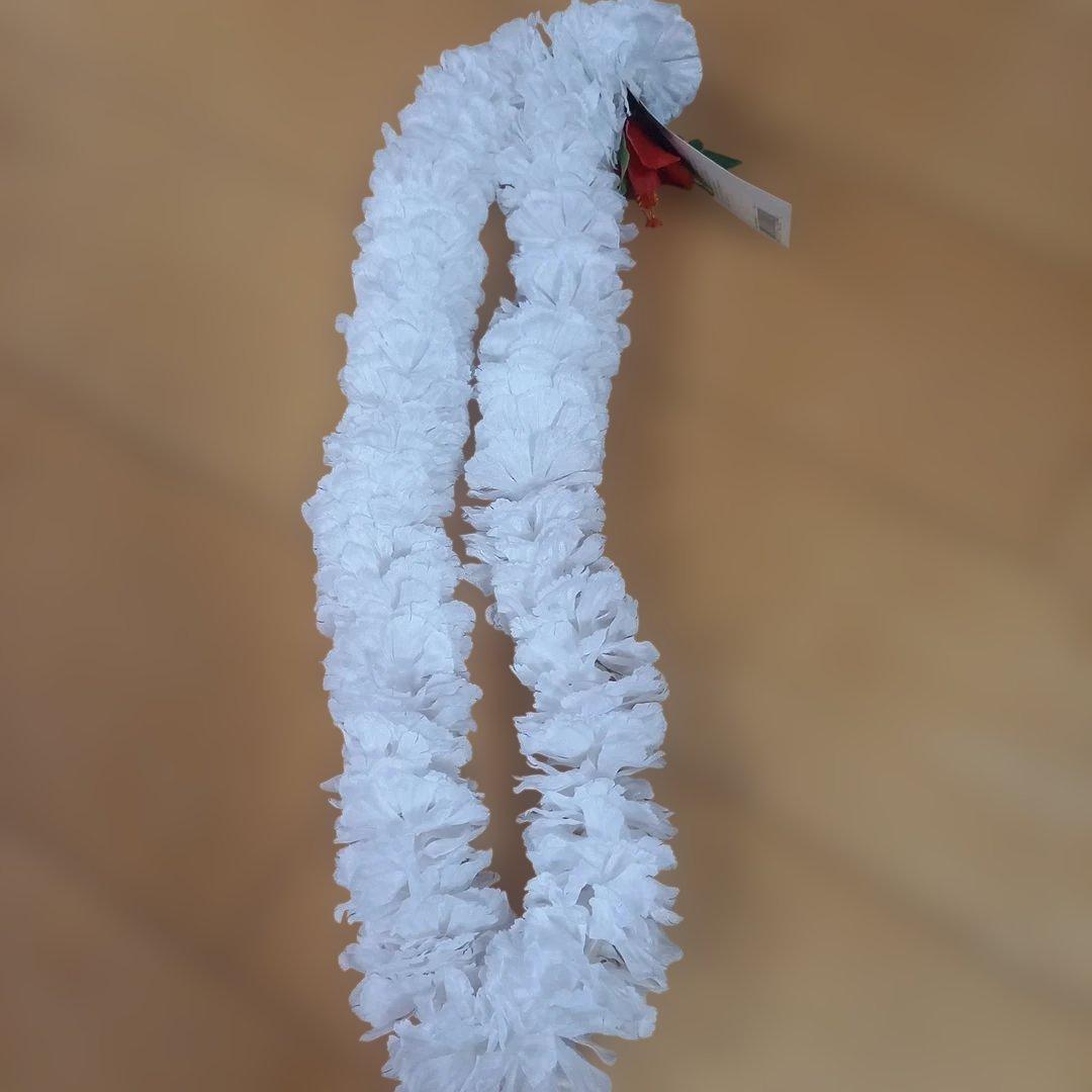 フラダンス用レイセット 20種類