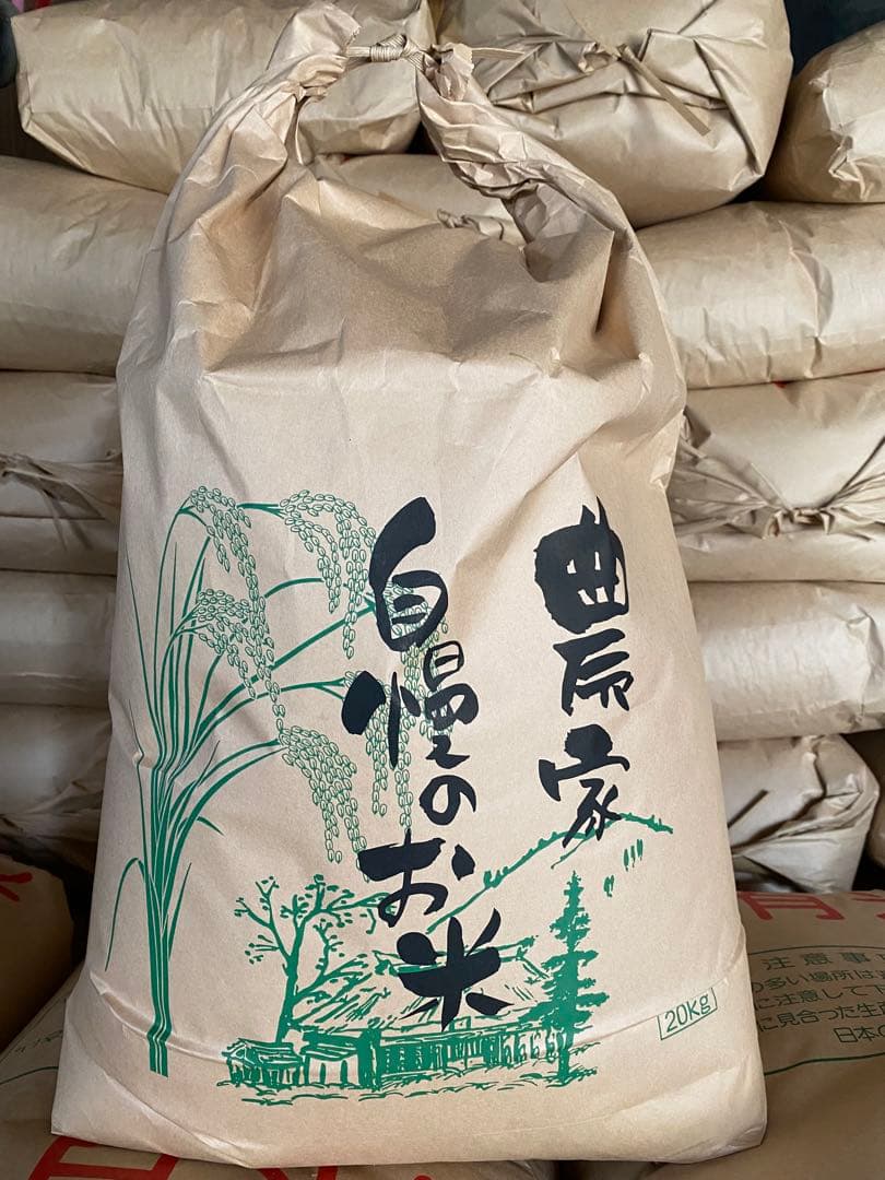 2025年産　コシヒカリ玄米20キロ　三重県　健康食　腸活