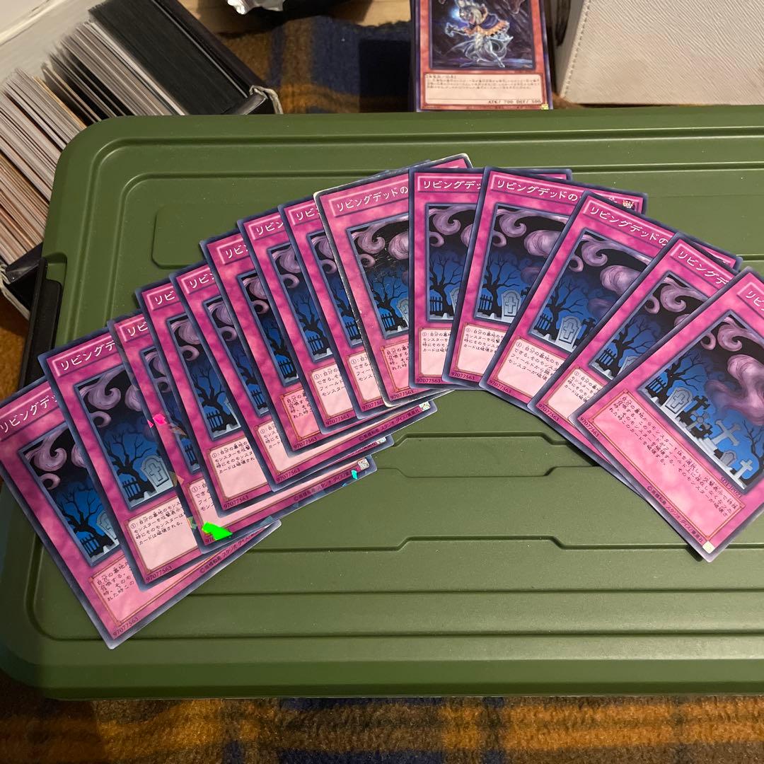 リビングデッドの呼び声 14枚