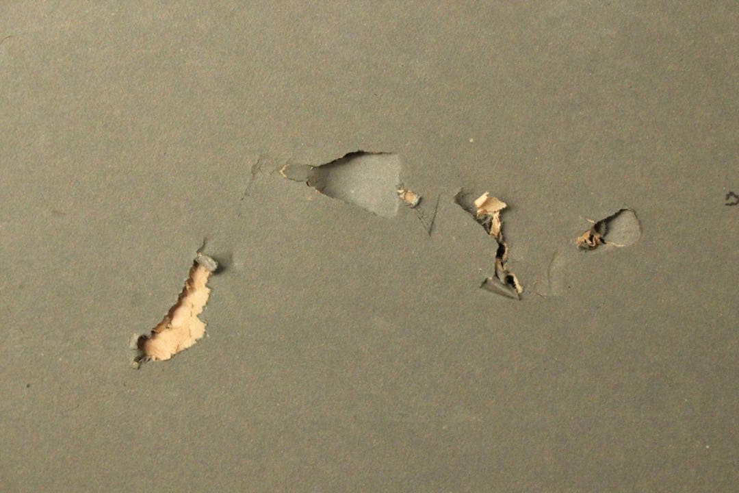 No4736 扁額装(枠無し) 西郷南浦　三字書　「事貴明」　紙本　送料無料