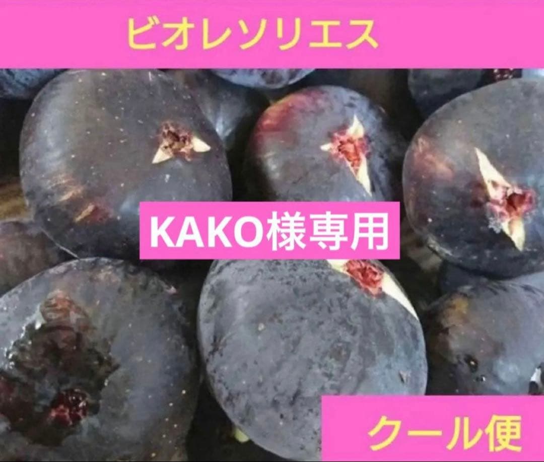 鳥取県産 農薬不使用 ビオレソリエス 黒イチジク＊6セット分＊