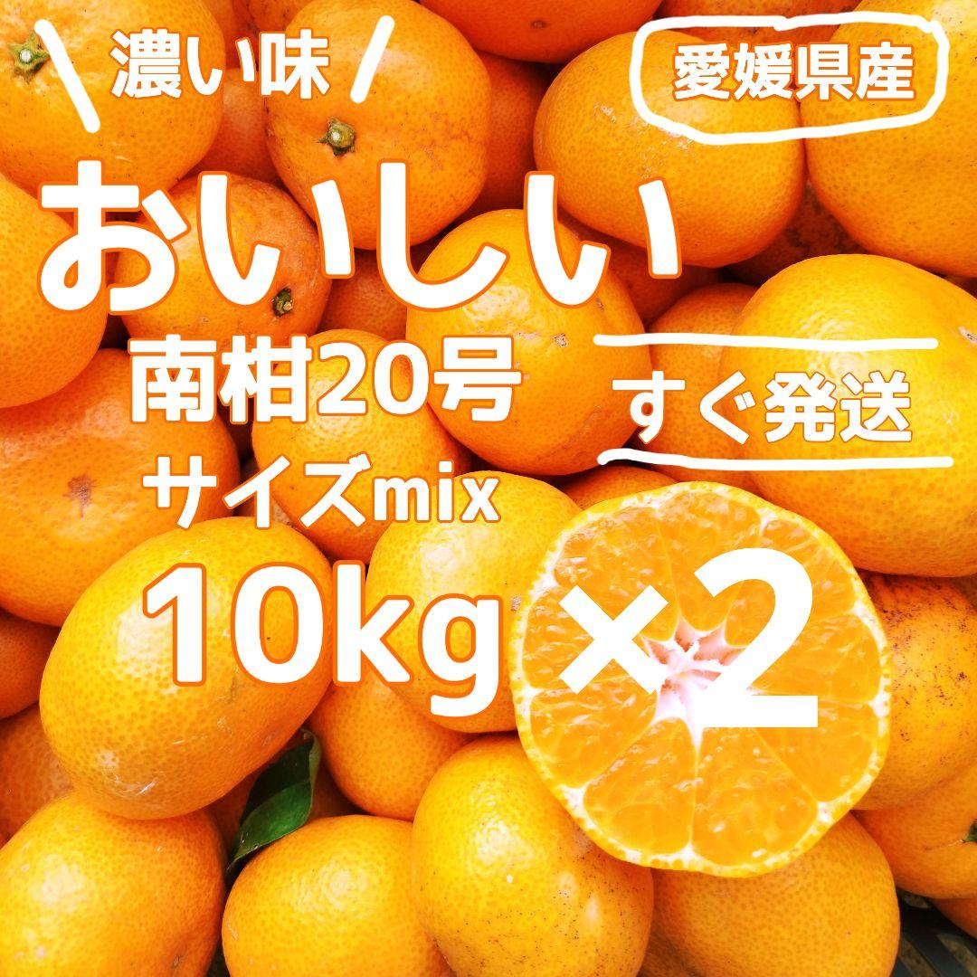 1　愛媛県産 南柑20号 20kg サイズmix