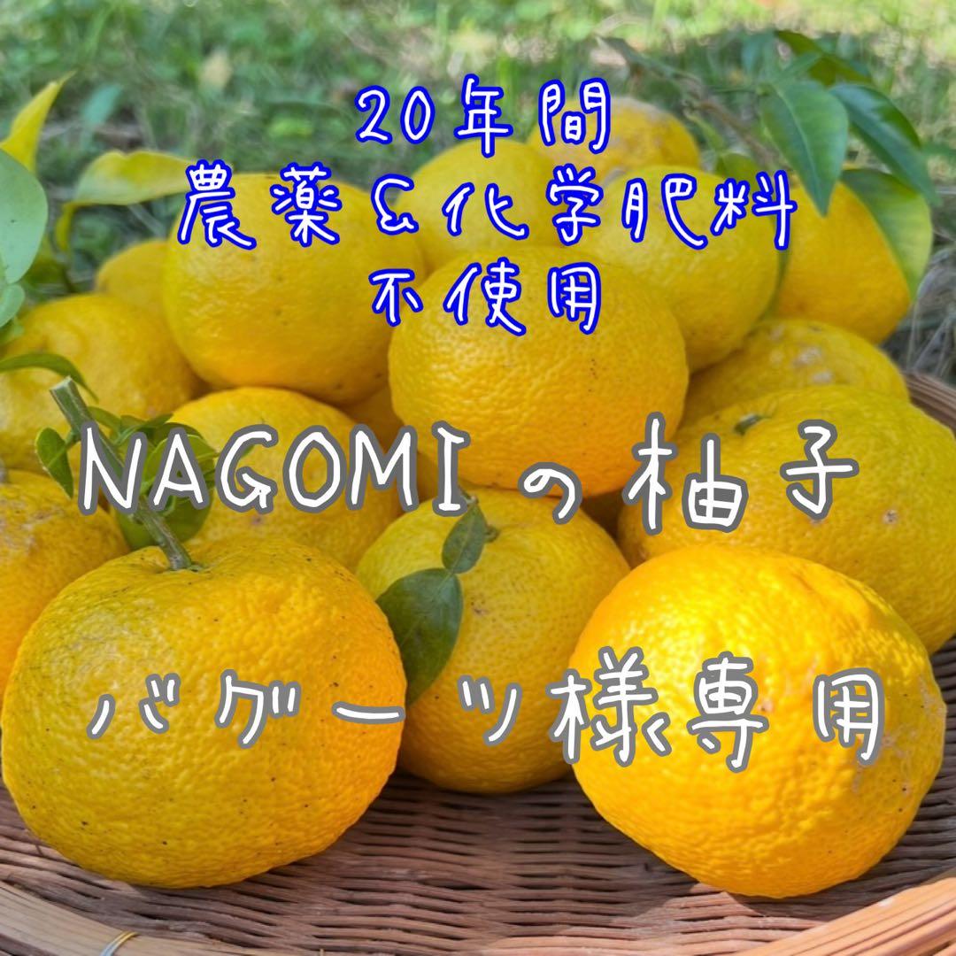 NAGOMIの柚子 20年間農薬不使用『バグーツ10kg』