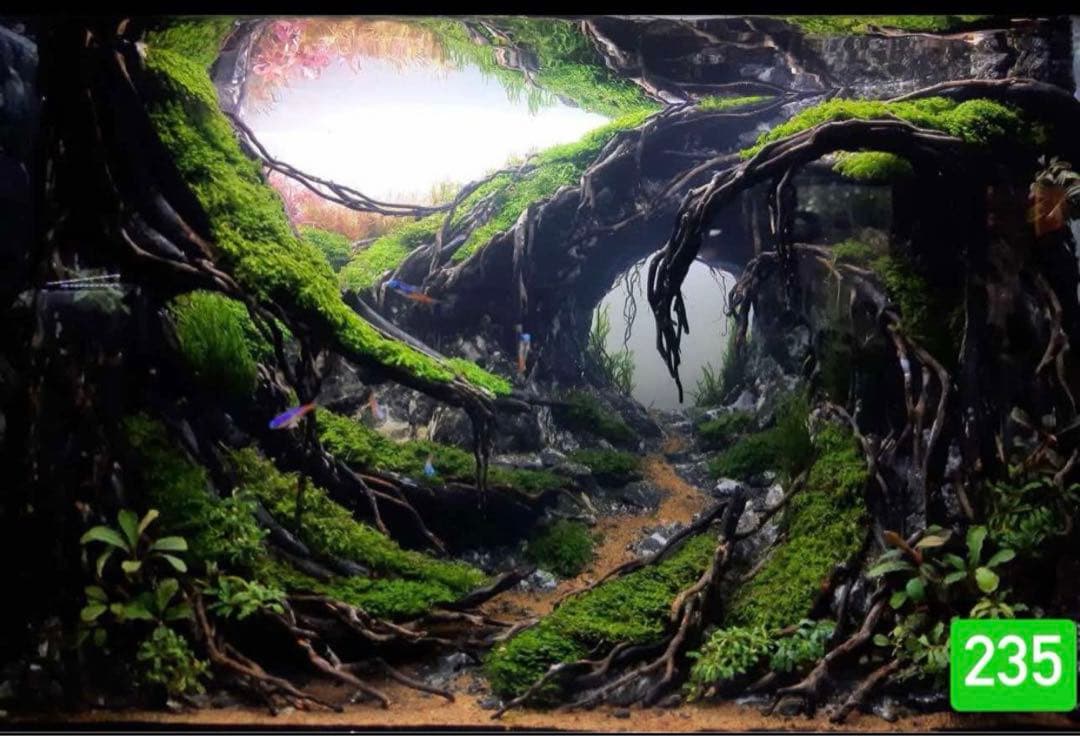 TTD 【⭐︎ Aiji様⭐︎】【美品・数量限定】