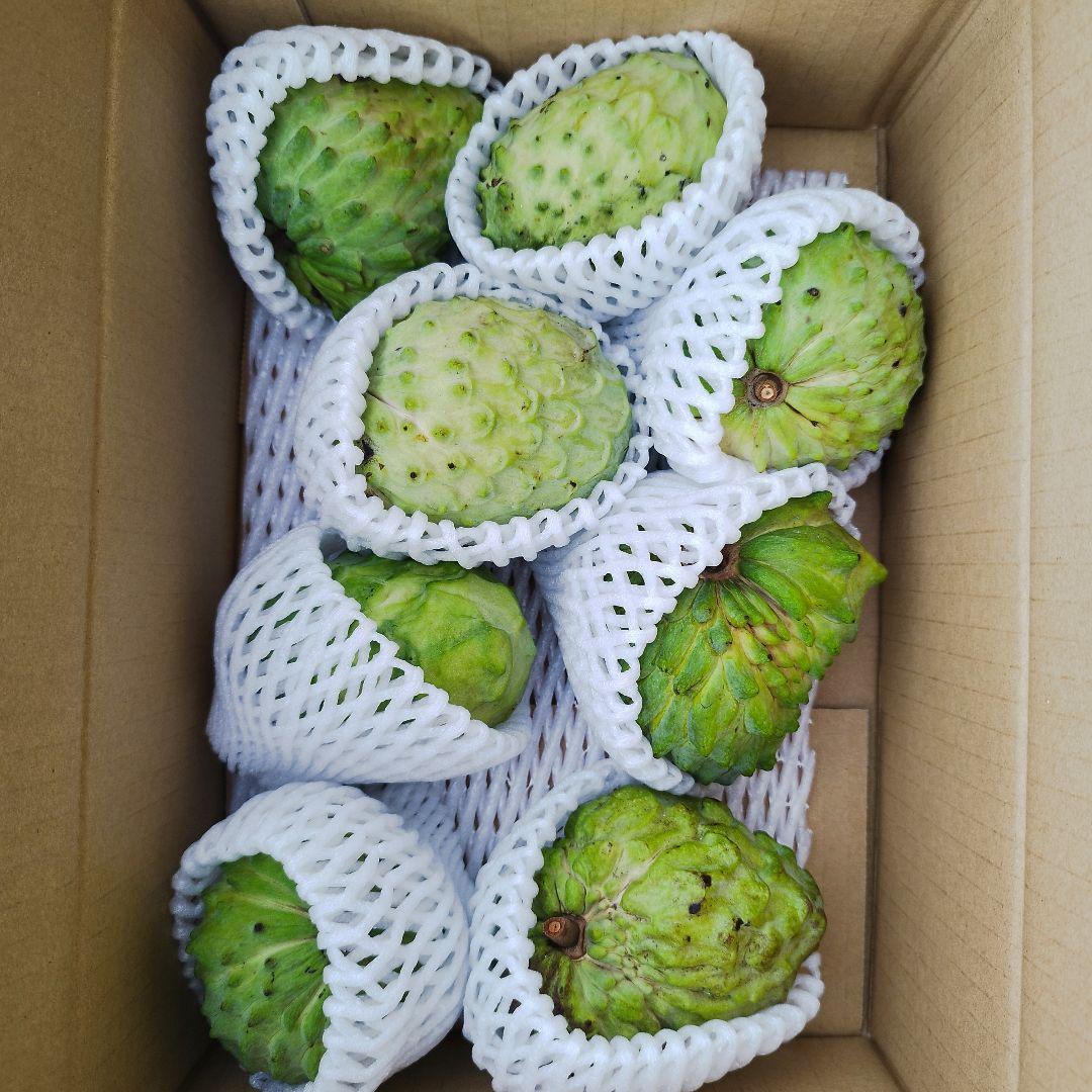 pokoshinya7さん　専用ページ　アテモヤ　2KG　アップルバナナ8KG