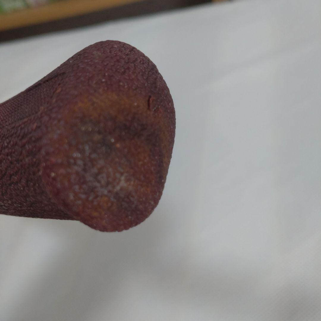 ロッド DAIWA  CAST 55L