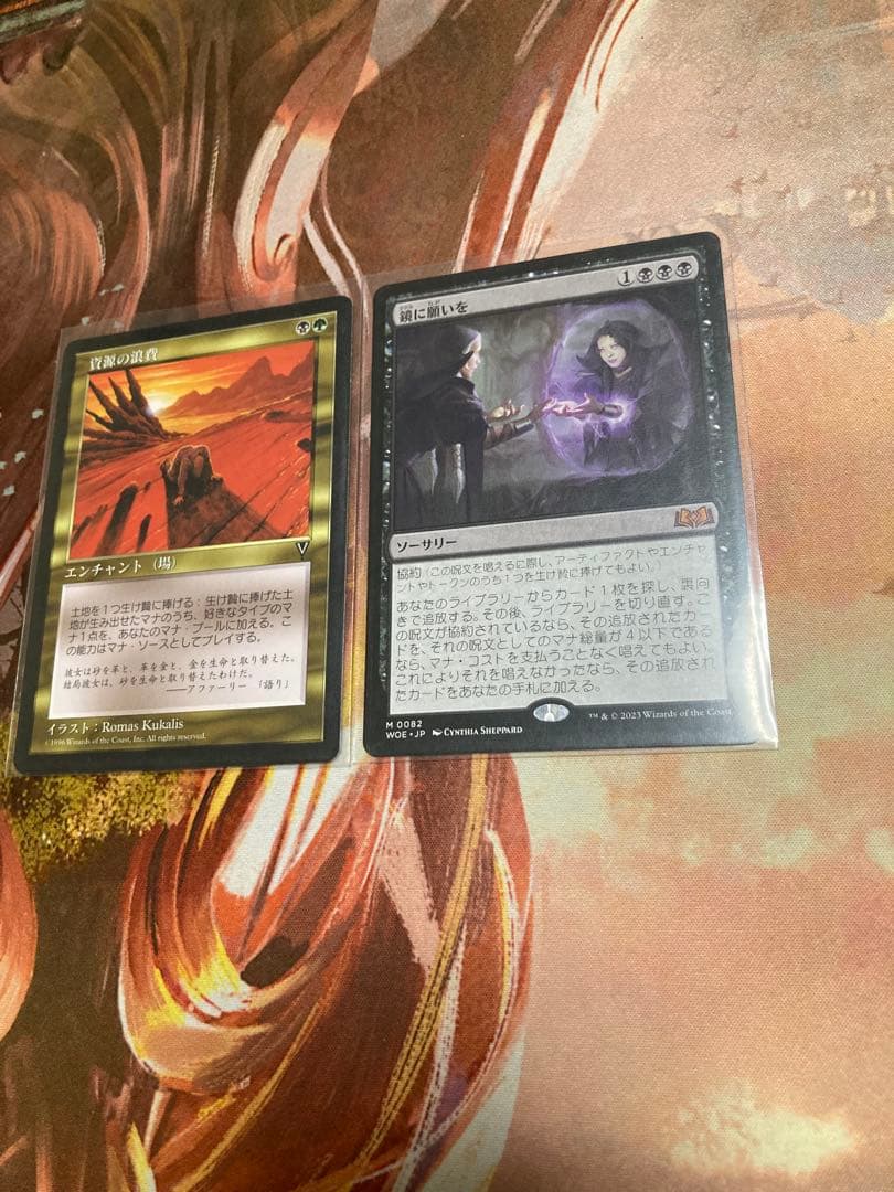 資源の浪費　鏡に願いを　日本語　各1枚　2枚